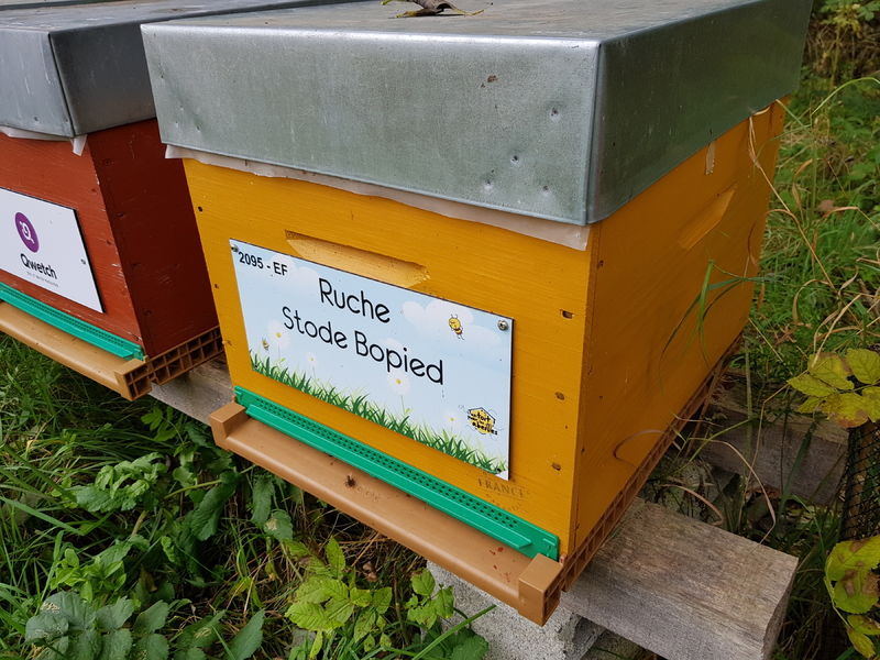 La ruche Stode Bopied
