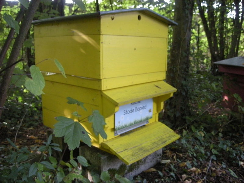 La ruche Stode Bopied