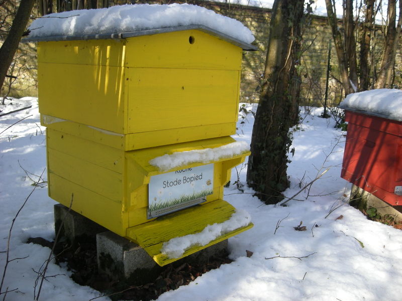 La ruche Stode Bopied