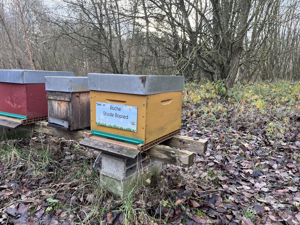 La ruche Stode Bopied