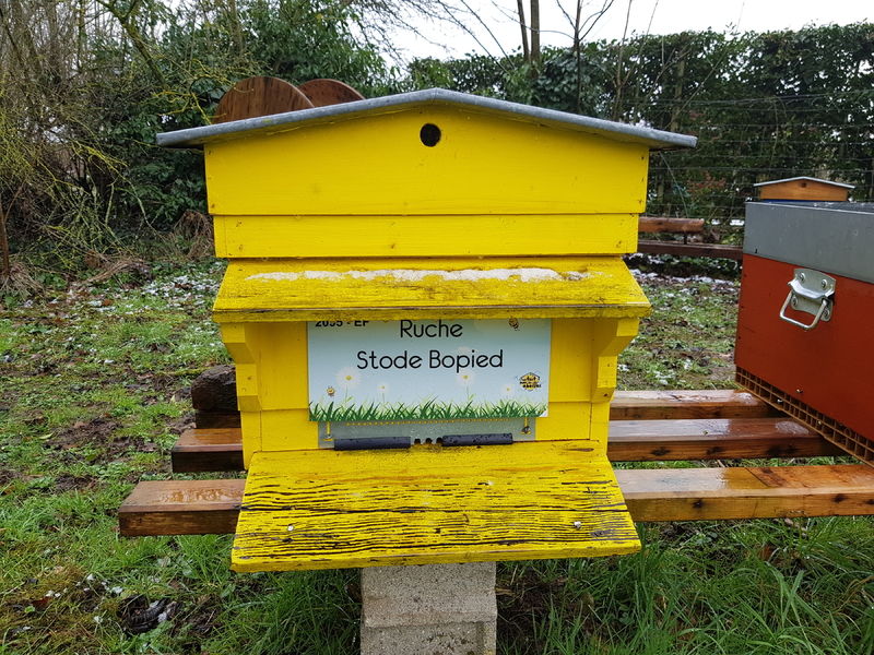 La ruche Stode Bopied