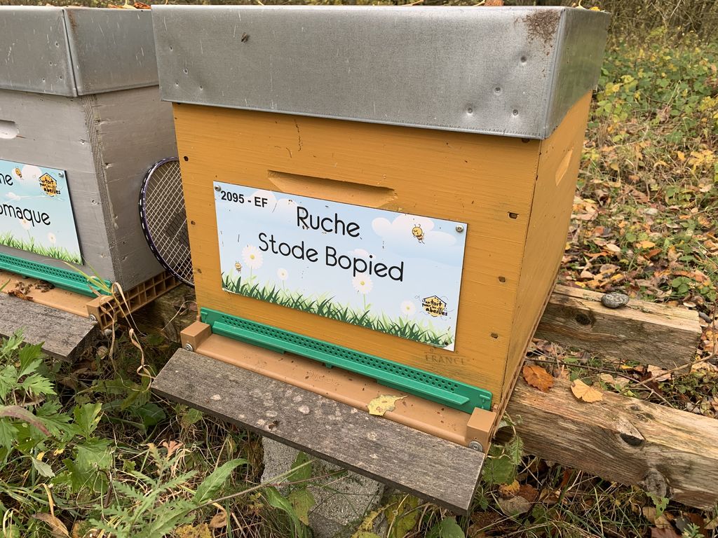 La ruche Stode Bopied