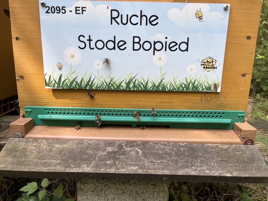 La ruche Stode Bopied