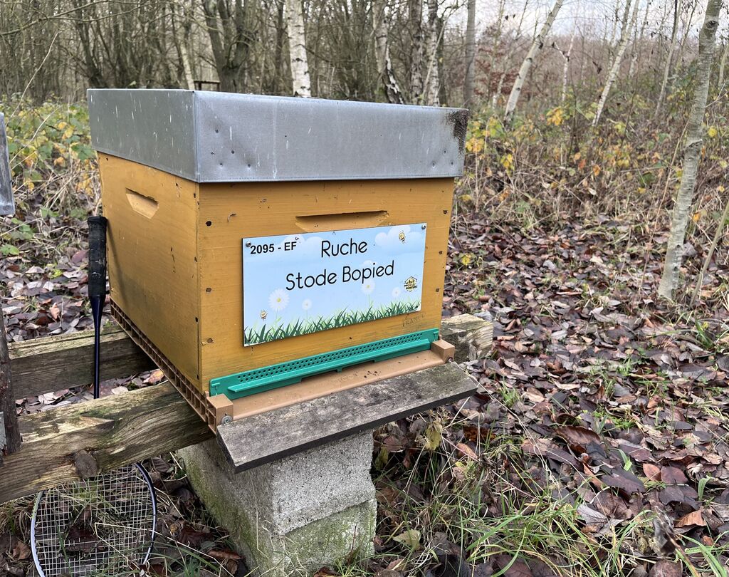 La ruche Stode Bopied