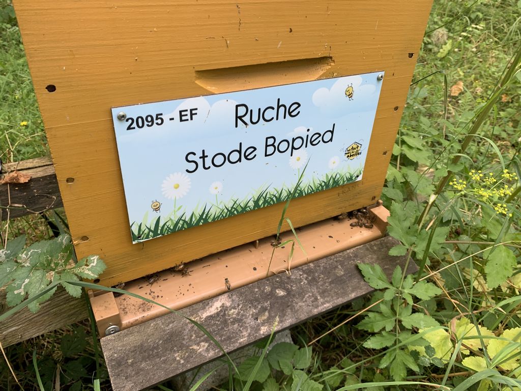 La ruche Stode Bopied