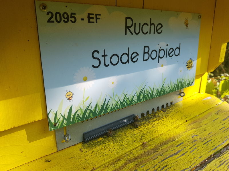 La ruche Stode Bopied