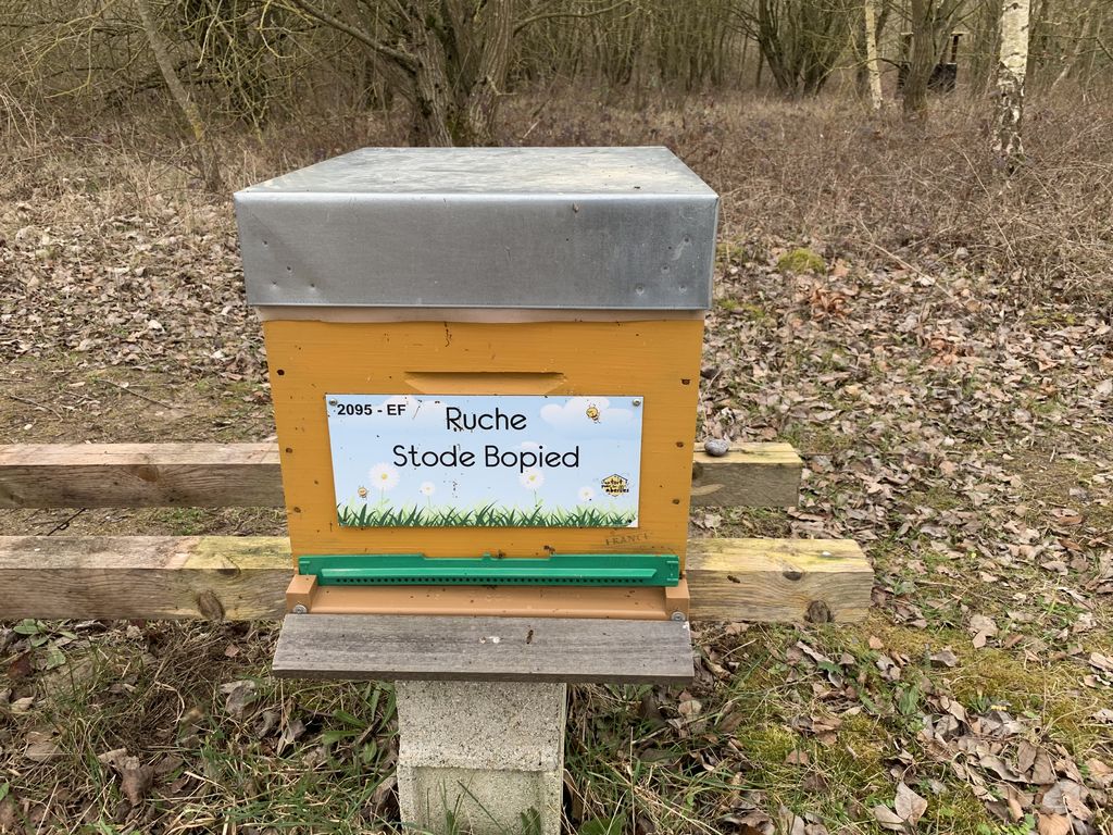 La ruche Stode Bopied