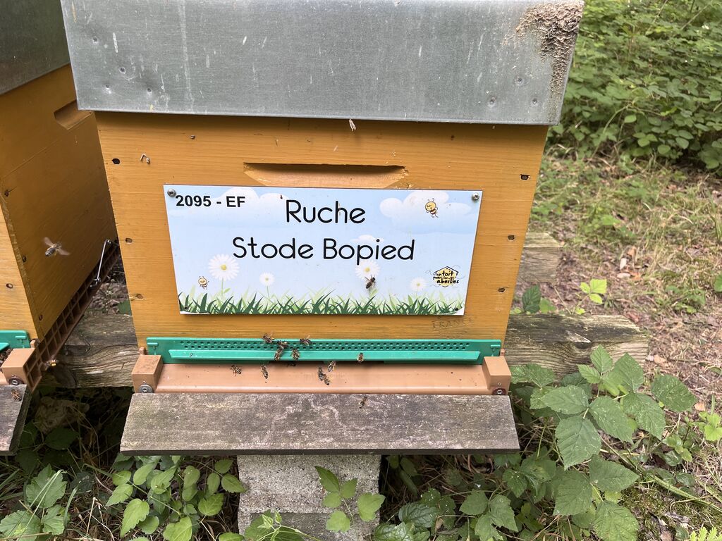 La ruche Stode Bopied