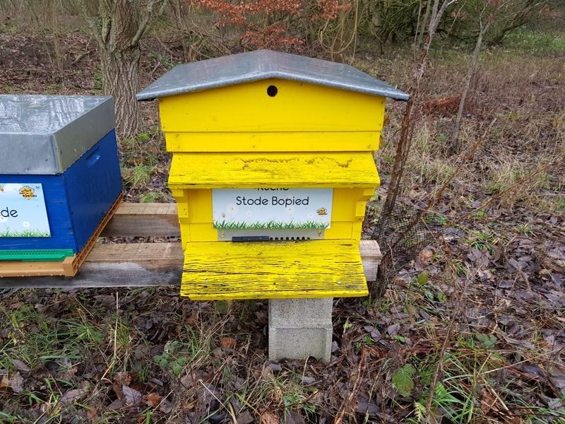 La ruche Stode Bopied