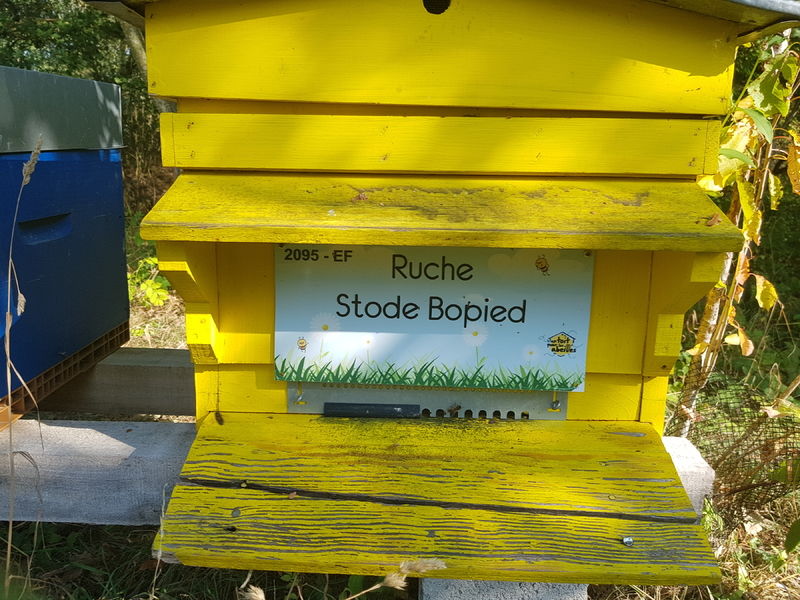 La ruche Stode Bopied