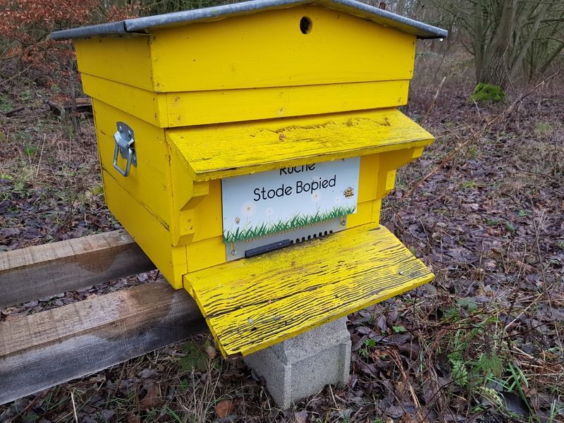 La ruche Stode Bopied
