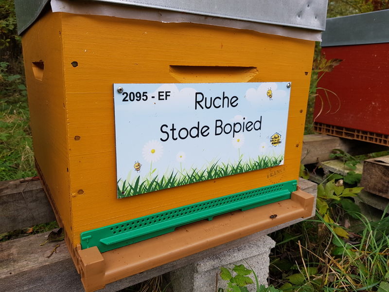 La ruche Stode Bopied