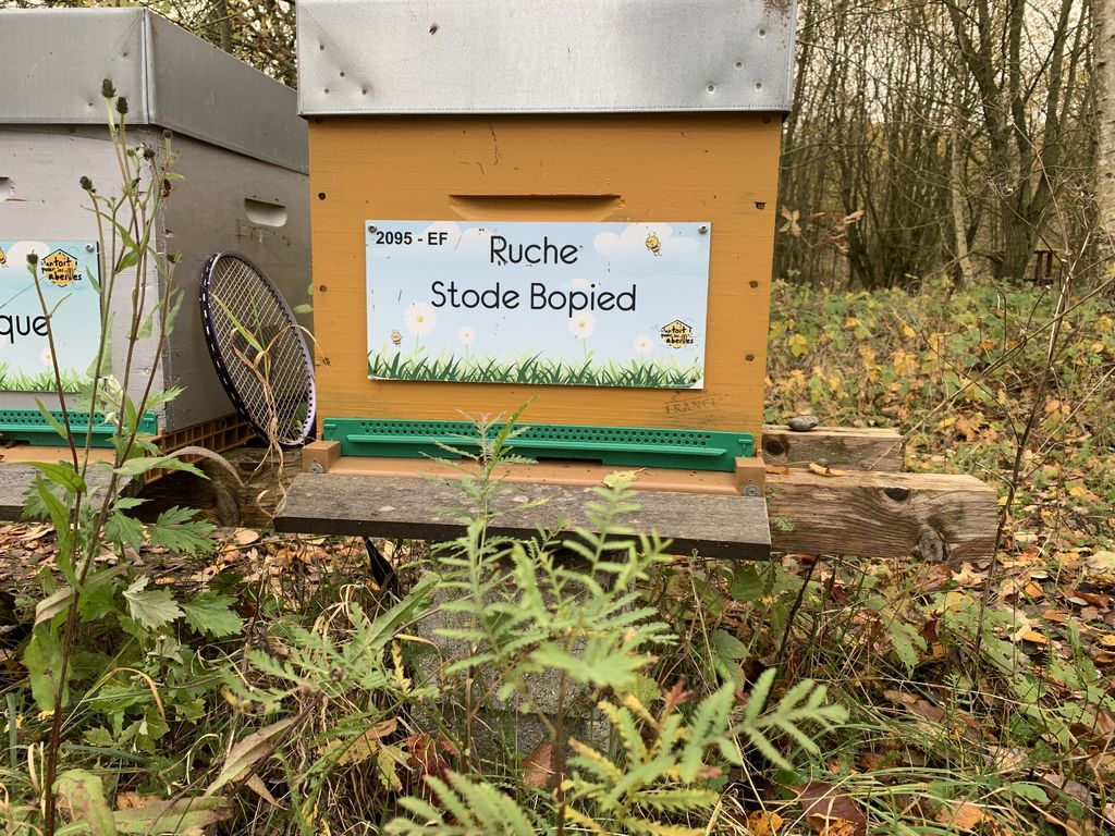 La ruche Stode Bopied