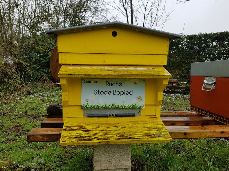 La ruche Stode Bopied