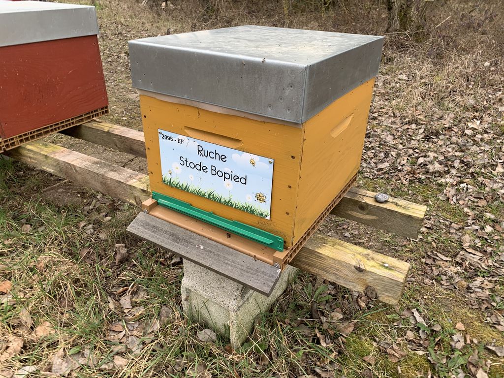 La ruche Stode Bopied