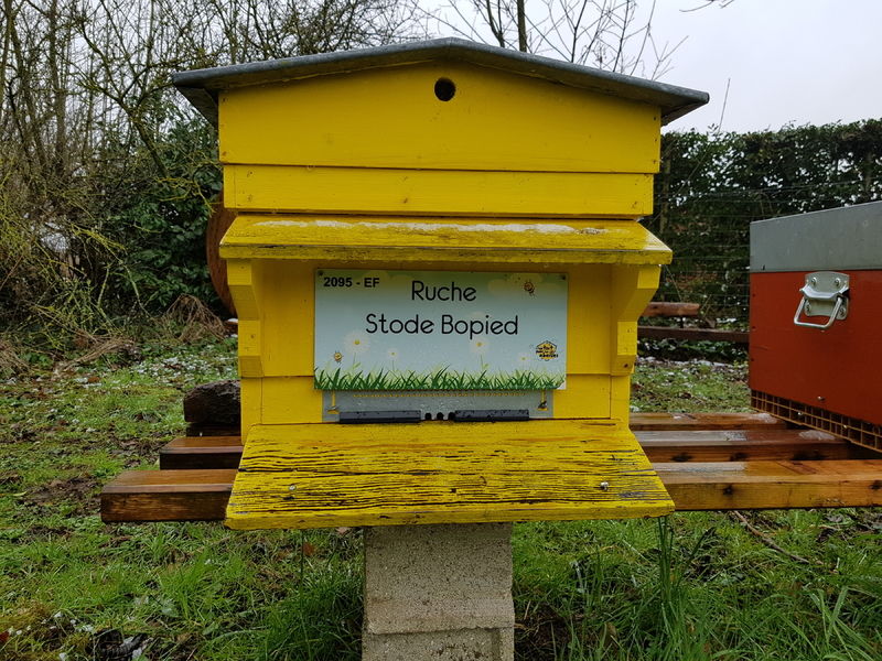 La ruche Stode Bopied