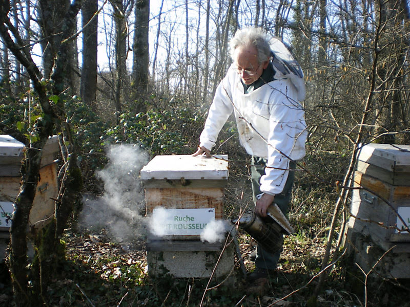 La ruche Pipit rousseline