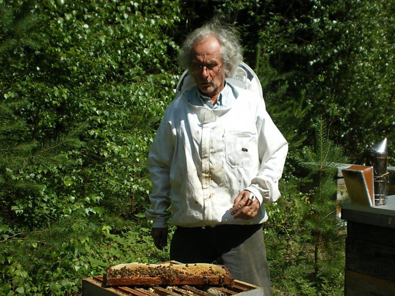 La ruche Pipit rousseline