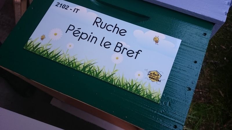 La ruche