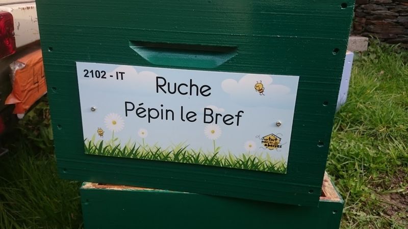La ruche Pépin le Bref