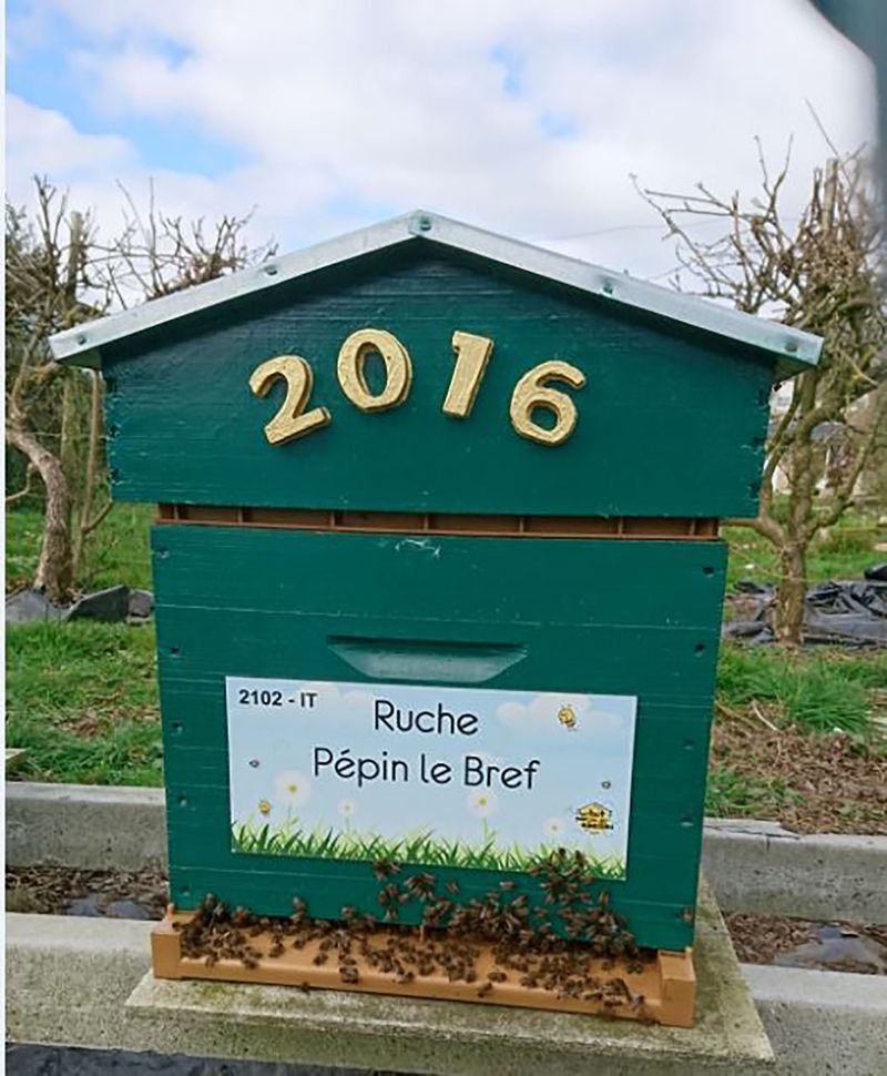 La ruche Pépin le Bref
