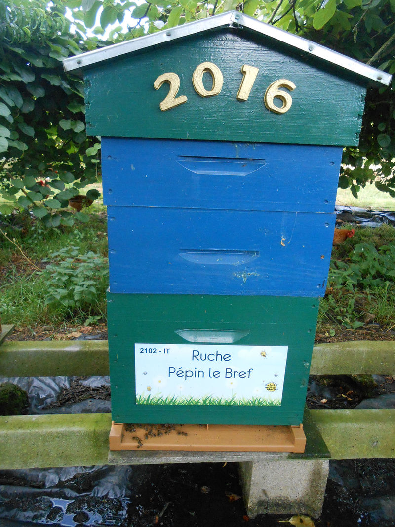La ruche Pépin le Bref