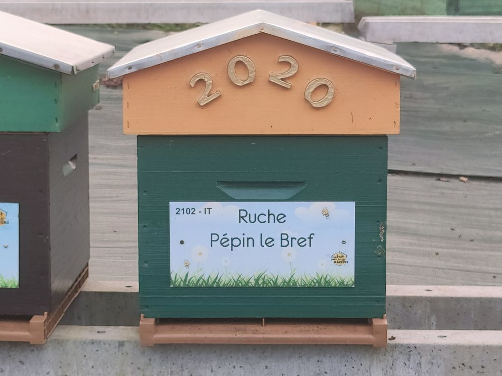 La ruche Pépin le Bref