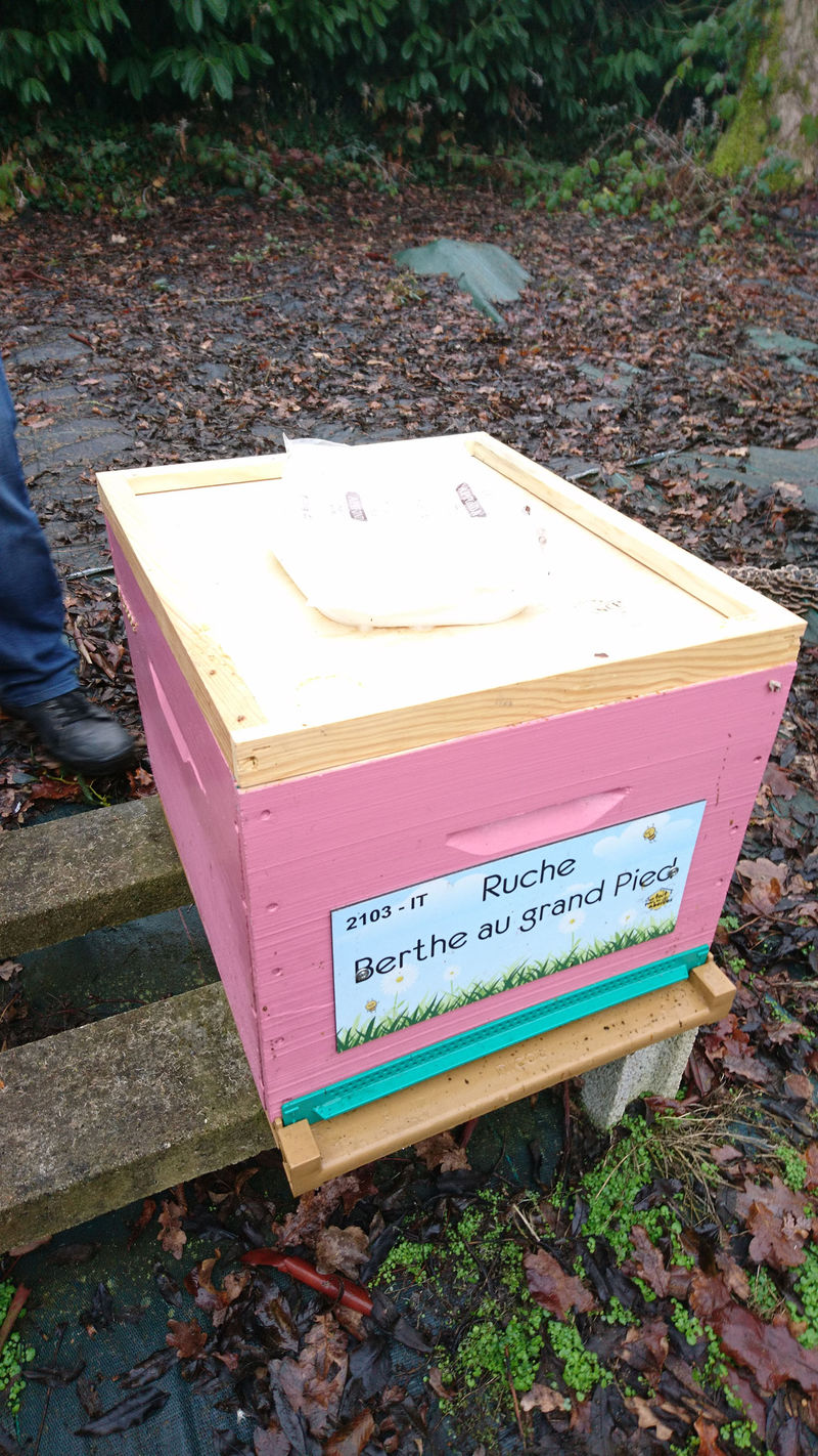 La ruche Berthe au Grand Pied