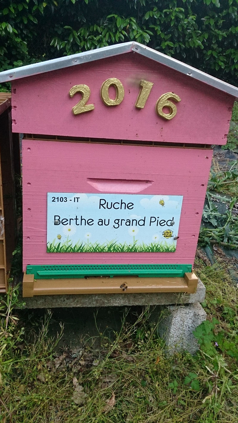 La ruche Berthe au Grand Pied