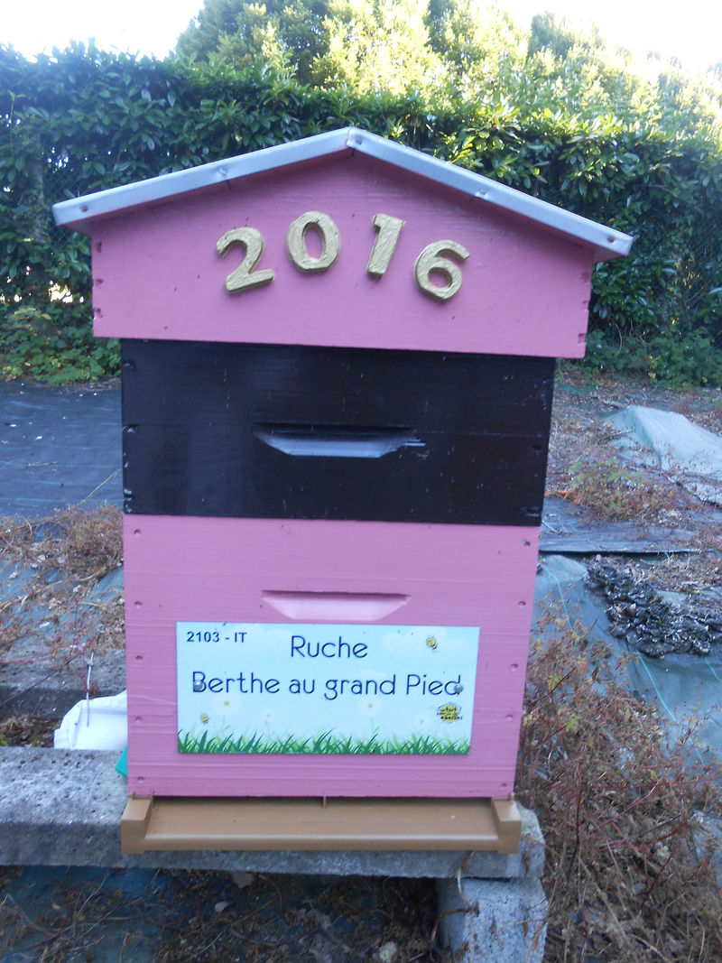 La ruche Berthe au Grand Pied