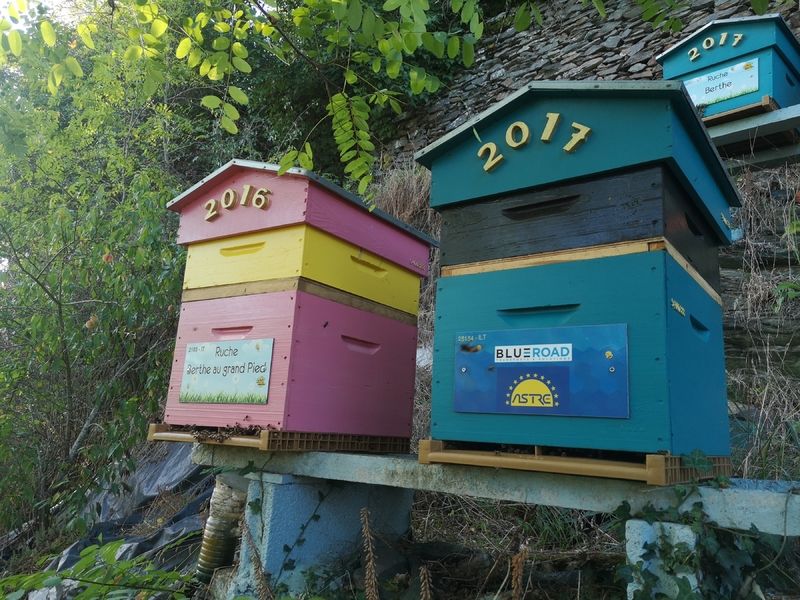 La ruche Berthe au Grand Pied