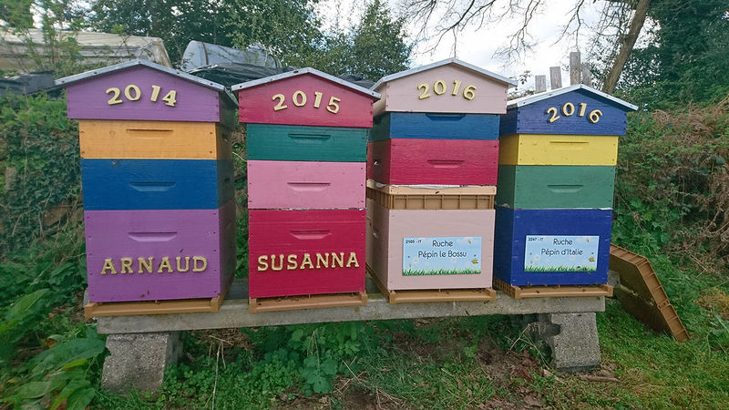 La ruche Pépin le Bossu