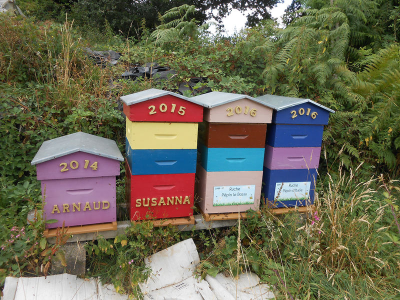 La ruche Pépin le Bossu