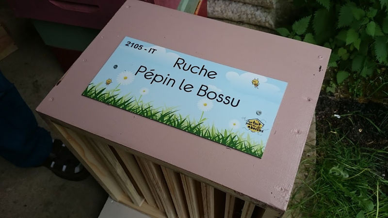 La ruche