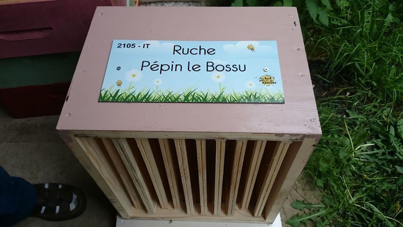 La ruche Pépin le Bossu