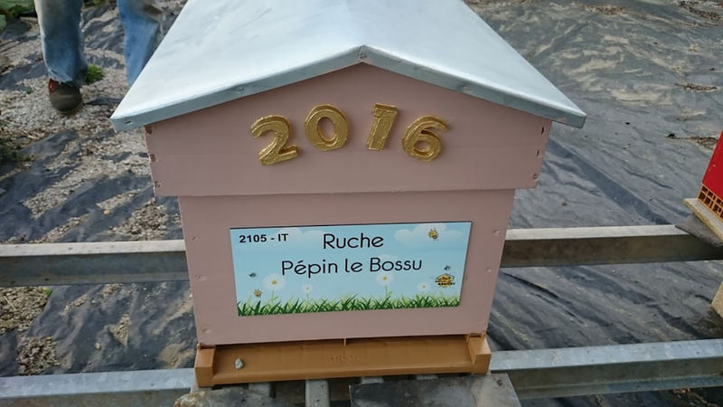 La ruche Pépin le Bossu