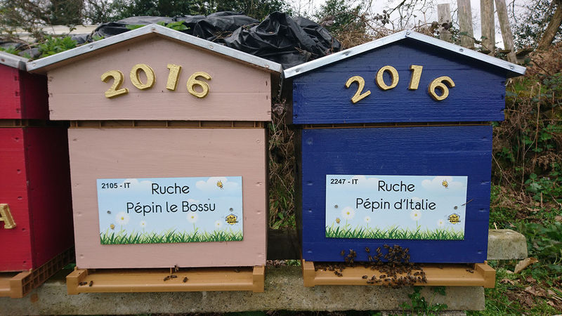 La ruche Pépin le Bossu