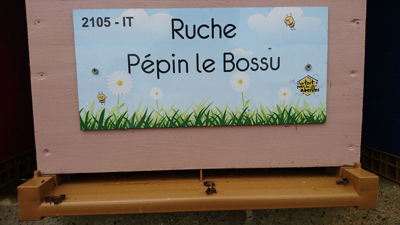 La ruche Pépin le Bossu