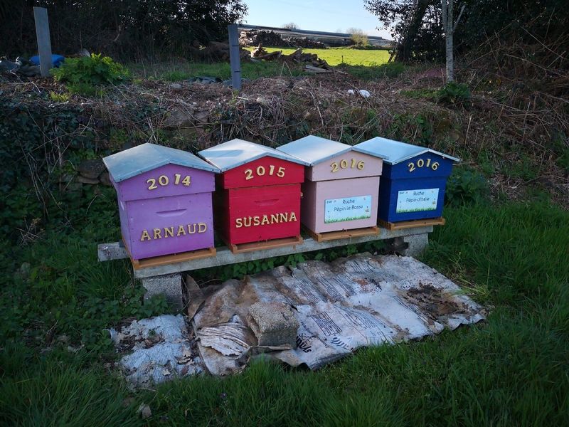 La ruche Pépin le Bossu