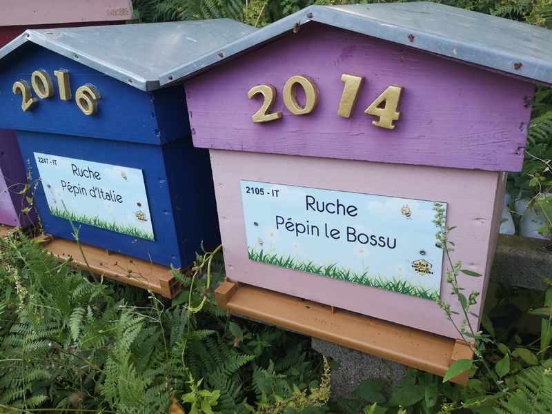 La ruche Pépin le Bossu