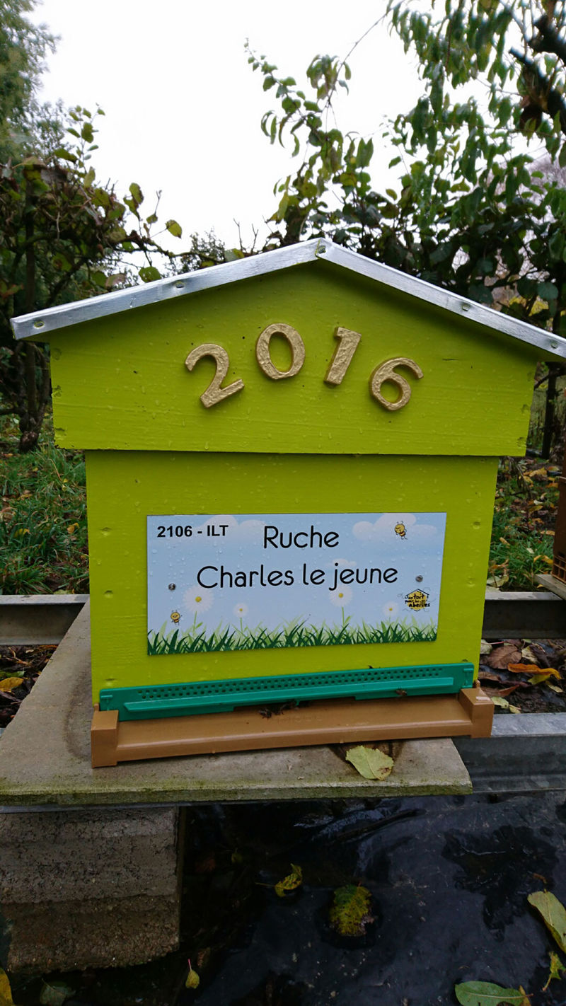 La ruche