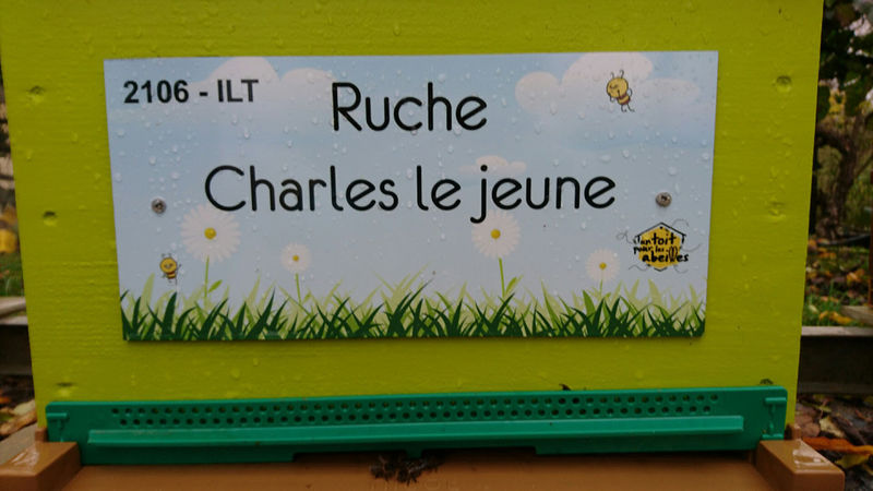 La ruche Charles le jeune