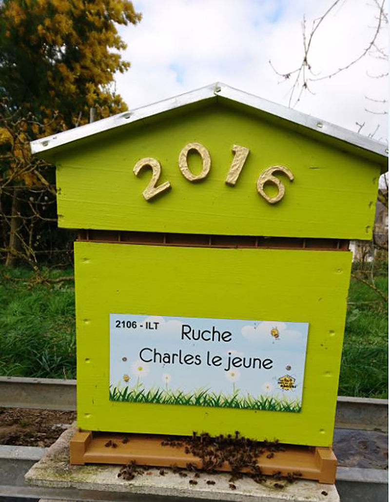 La ruche Charles le jeune