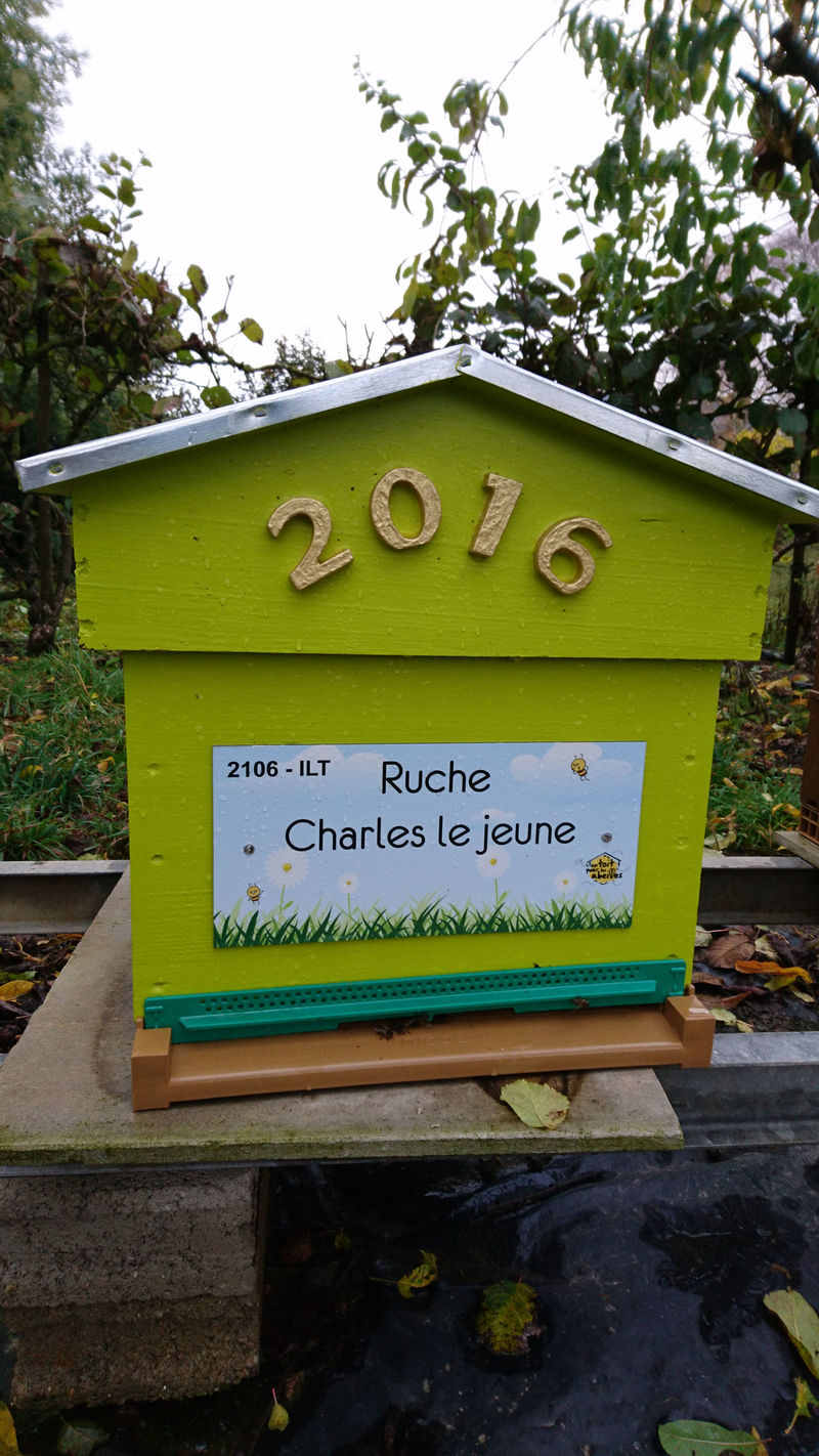 La ruche Charles le jeune