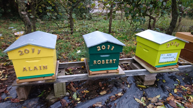 La ruche Charles le jeune