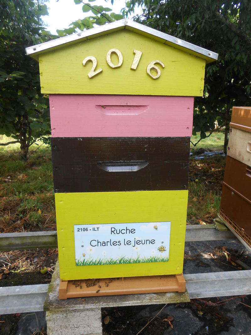 La ruche Charles le jeune