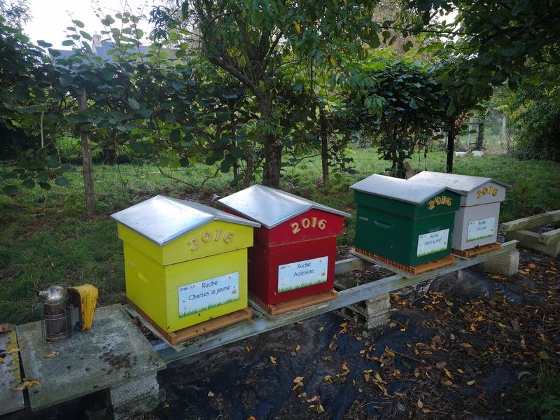 La ruche Charles le jeune