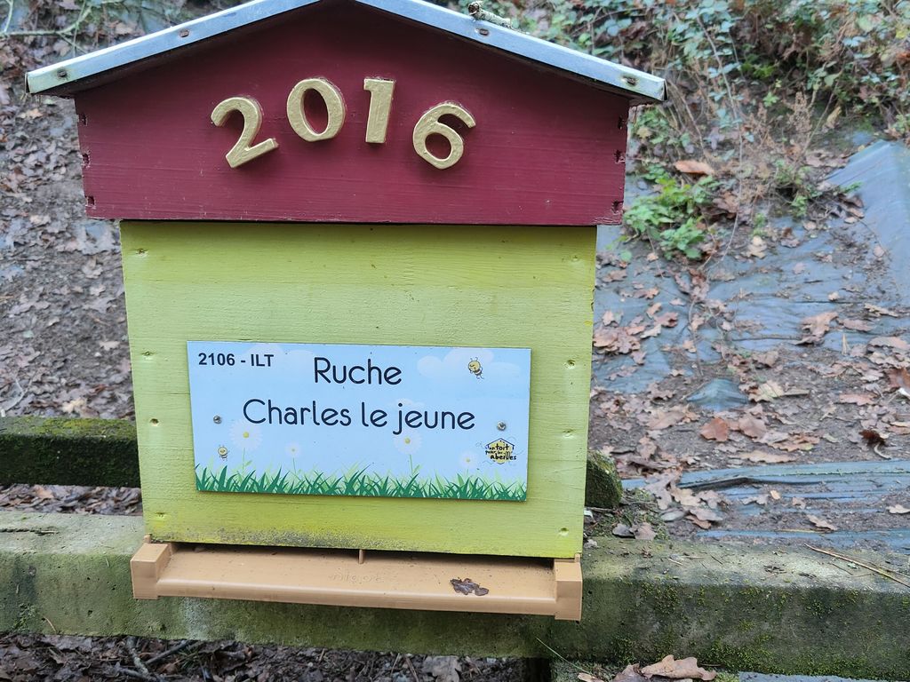 La ruche Charles le jeune