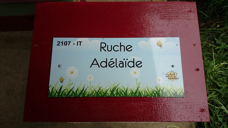 La ruche Adélaïde