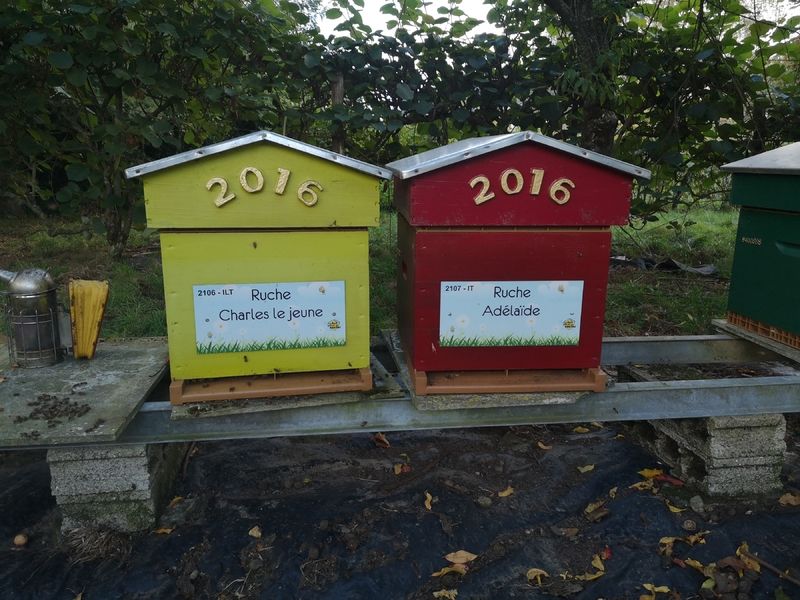 La ruche Adélaïde
